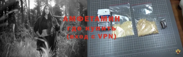 apvp Ельня