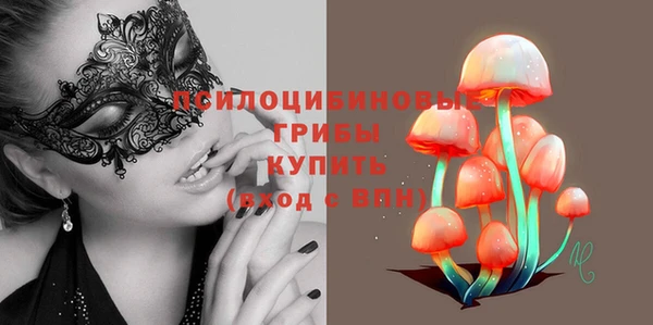 apvp Ельня