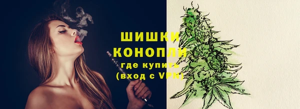 apvp Ельня