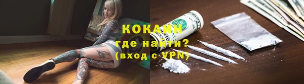 apvp Ельня