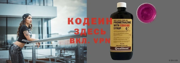 apvp Ельня