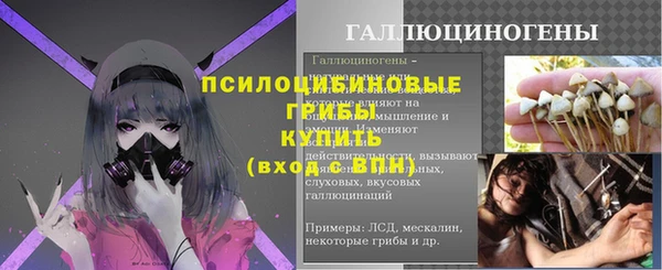 метадон Елизово